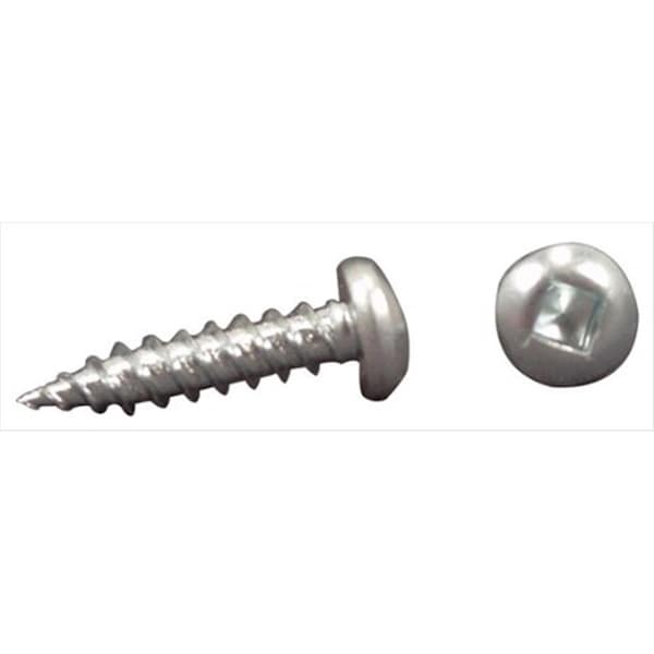 Ap Products AP PRODUCTS PSQ50081 Recess Screw 1 In. - 500 Pack A1W-PSQ50081 - main